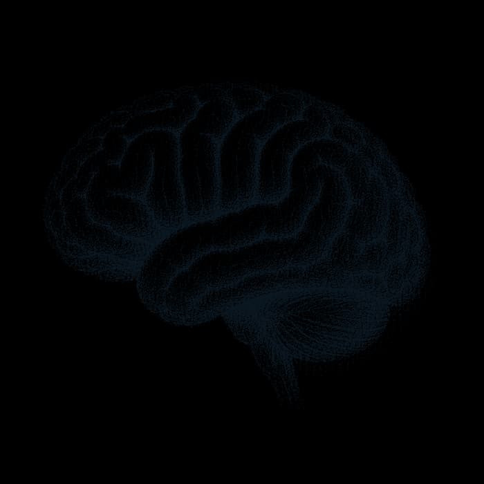 Ilustración de un cerebro humano
